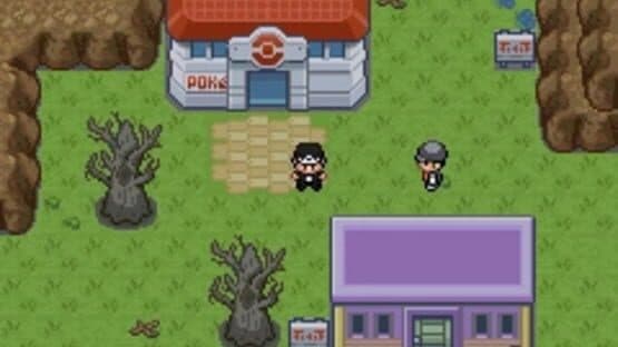 Pokémon Fire Black — screenshot 2