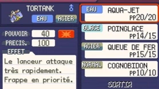 Pokémon Fire Black — screenshot 4
