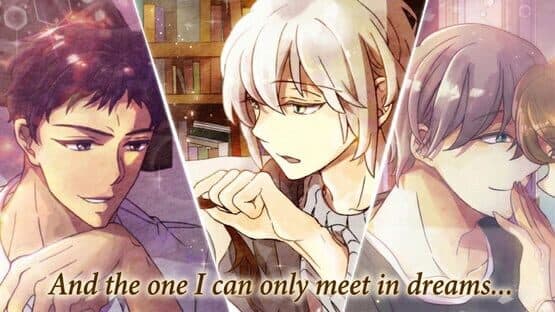 Because It's a Dream, It Must Be Romance: Connecting Hearts Across Realities — screenshot 4