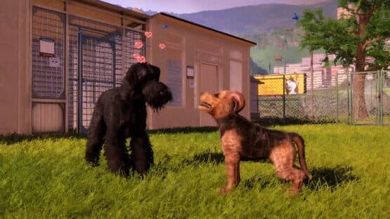 Animal Shelter 2: Hunting Dogs Pack — screenshot 1