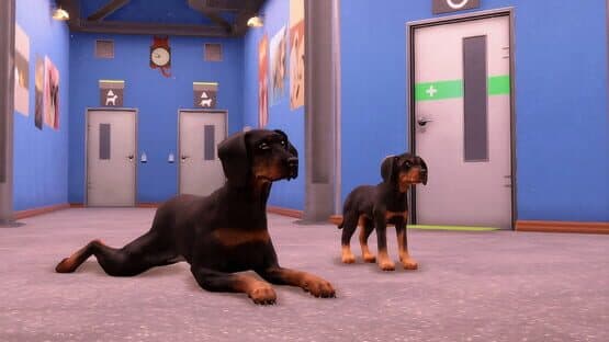 Animal Shelter 2: Hunting Dogs Pack — screenshot 3
