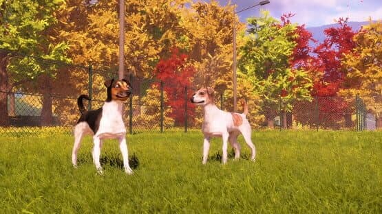 Animal Shelter 2: Hunting Dogs Pack — screenshot 4