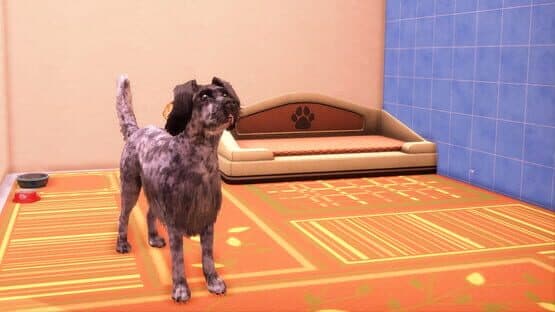 Animal Shelter 2: Hunting Dogs Pack — screenshot 7