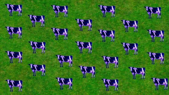Imagina que tienes 2 vacas — screenshot 1