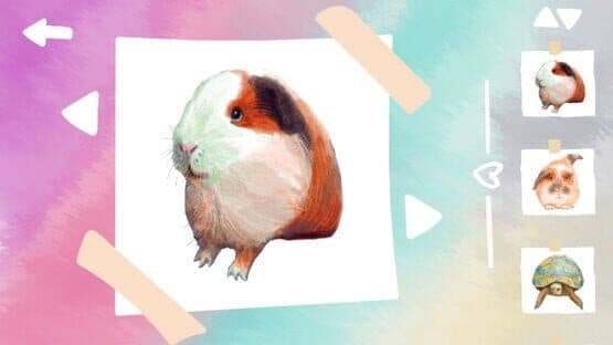 Pets and Friends: Cuties Bundle — screenshot 4