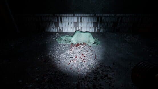 Echoes of Sin: Confusion — screenshot 3