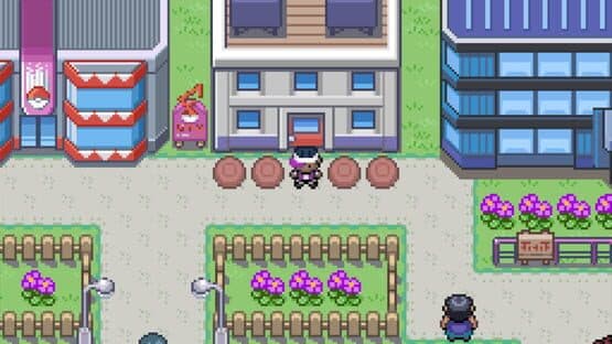 Pokemon Luminous Lands — screenshot 1