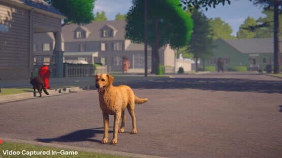 Whose Lawn Is It Anyway — screenshot 1