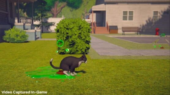 Whose Lawn Is It Anyway — screenshot 4