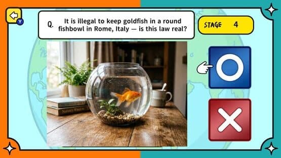 Surprising Laws Around the World True or False Quiz — screenshot 4