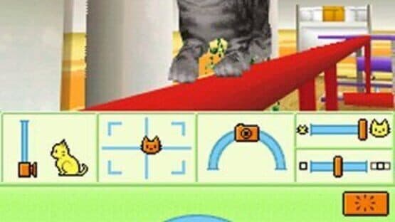 Petz: Catz Playground — screenshot 1