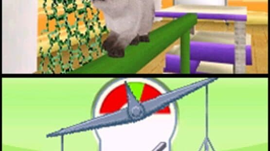 Petz: Catz Playground — screenshot 2