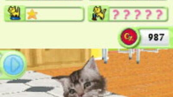 Petz: Catz Playground — screenshot 3