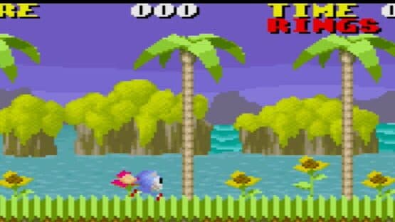 Mi ni Iku zo! Hedgehog — screenshot 1
