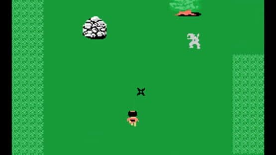 Ninja Princess — screenshot 2
