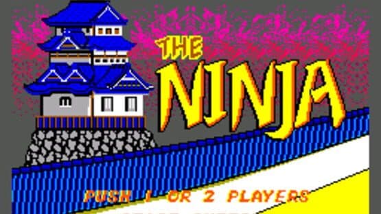 The Ninja — screenshot 3