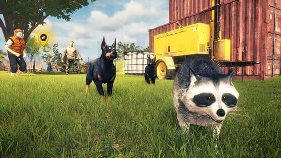 Raccoon Survival Simulator — screenshot 2