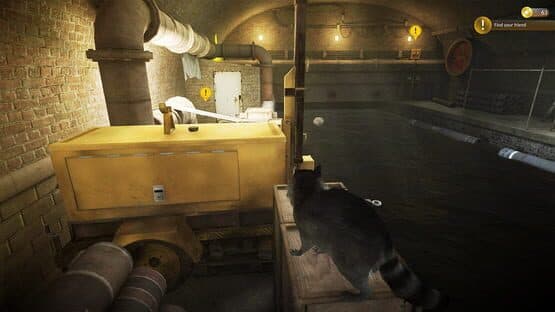 Raccoon Survival Simulator — screenshot 5
