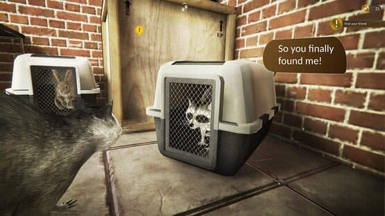 Raccoon Survival Simulator — screenshot 6
