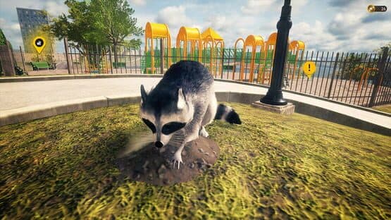 Raccoon Survival Simulator — screenshot 7