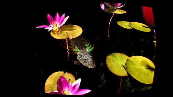 Grenouilles 3D — screenshot 4