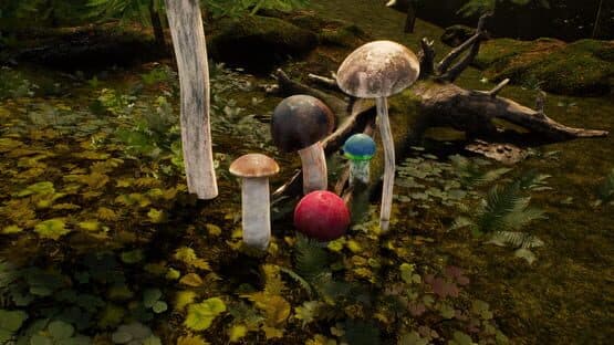 Mushroom Simulator Co-op — screenshot 5