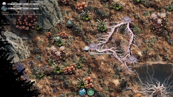 Mycelium Conquest — screenshot 1