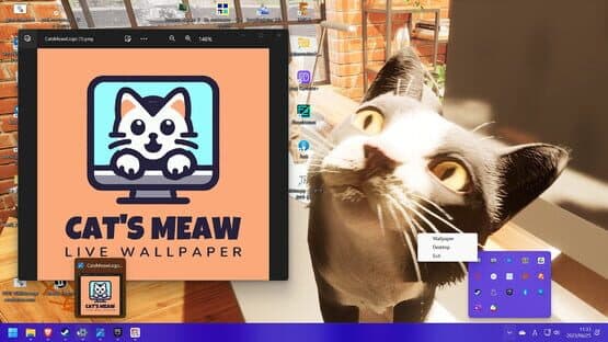 Cat's Meow Live Wallpaper — screenshot 1