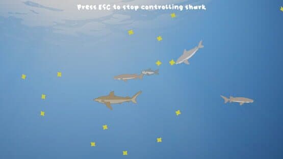 Sharkarama — screenshot 3