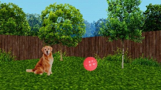 Take Care Of The Dog — screenshot 2