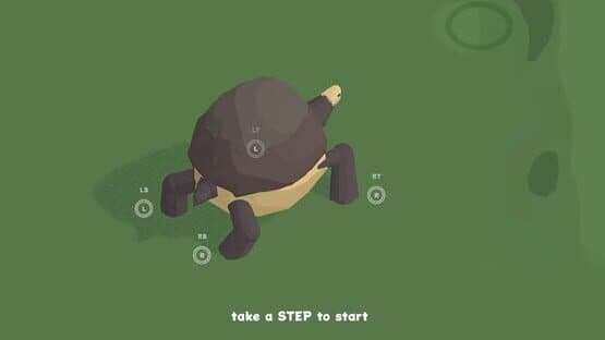The Art of Tortoise Walking — screenshot 5