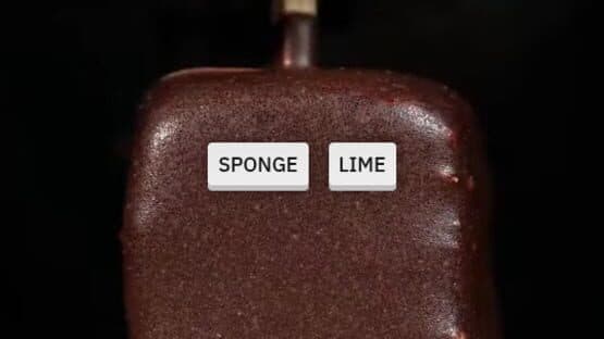 Sponge or Lime — screenshot 1