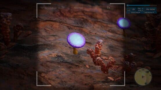 Morels: Out of this World — screenshot 2