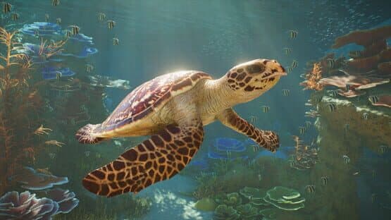 Planet Zoo 2 — screenshot 3