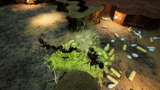 Empires of the Undergrowth: Exploding Ants — screenshot 3