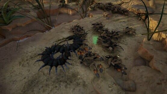 Empires of the Undergrowth: Exploding Ants — screenshot 7