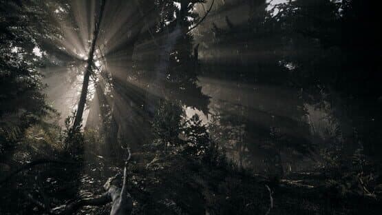 Nature of Dread — screenshot 3