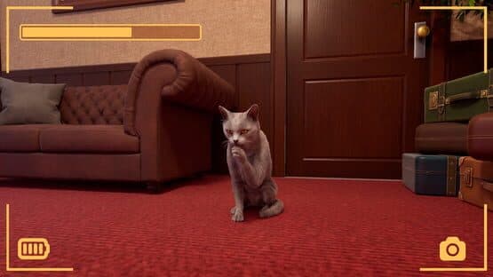 Strays POV Tales — screenshot 4