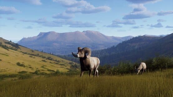 Way of the Hunter: Elkcrest Island — screenshot 7