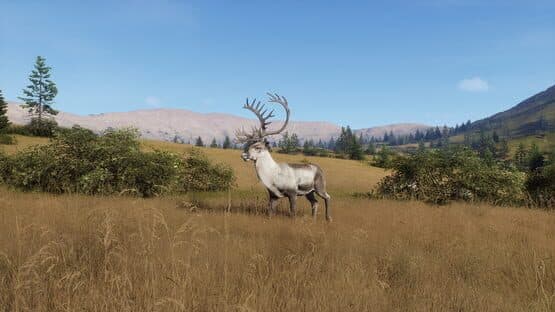 Way of the Hunter: Elkcrest Island — screenshot 8