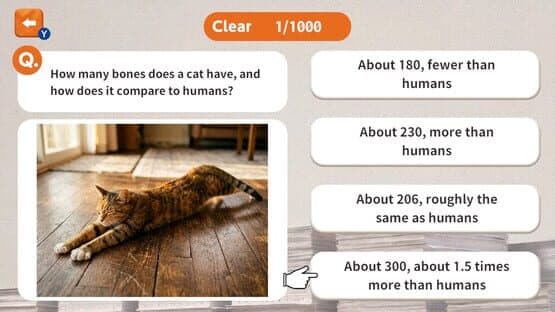 1000 Questions to Be Chosen by the Cat Lord — screenshot 1