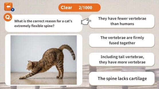 1000 Questions to Be Chosen by the Cat Lord — screenshot 2