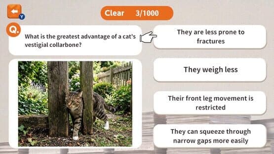 1000 Questions to Be Chosen by the Cat Lord — screenshot 3
