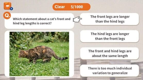 1000 Questions to Be Chosen by the Cat Lord — screenshot 4