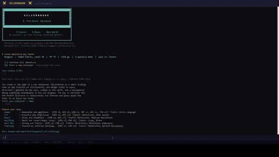 Silverbrook: a Text-Based RPG — screenshot 1