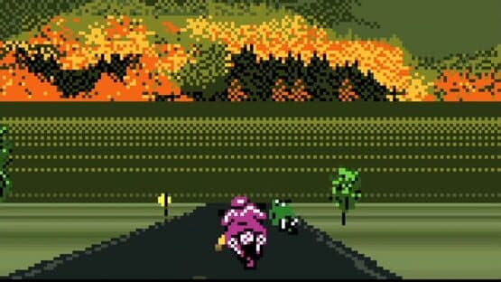 Road Rash — screenshot 3