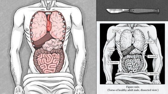 Edwin Earstwhile: Medical Examiner — screenshot 3