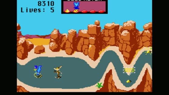Road Runner — screenshot 1