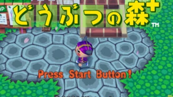 Doubutsu no Mori+ — screenshot 1