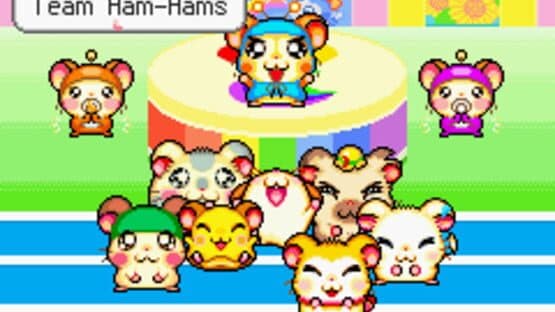 Hamtaro: Ham-Ham Games — screenshot 1
